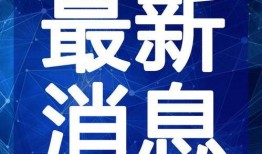 航线伙伴最新爆料视频大全,揭秘视频大全精彩瞬间