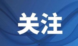 最新动态爆料新闻视频,揭秘新闻视频背后的惊人真相！