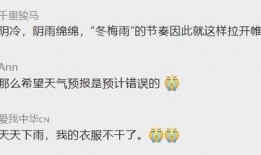 忘归人星期日最新爆料,最新爆料揭示娱乐圈惊人内幕