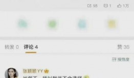 最新爆料彭小冉是谁啊视频,最新爆料视频引发热议